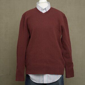 Banana‎ Republic Men's Deep Terracotta 100% Lambs Wool V-Neck Sweater, Size L